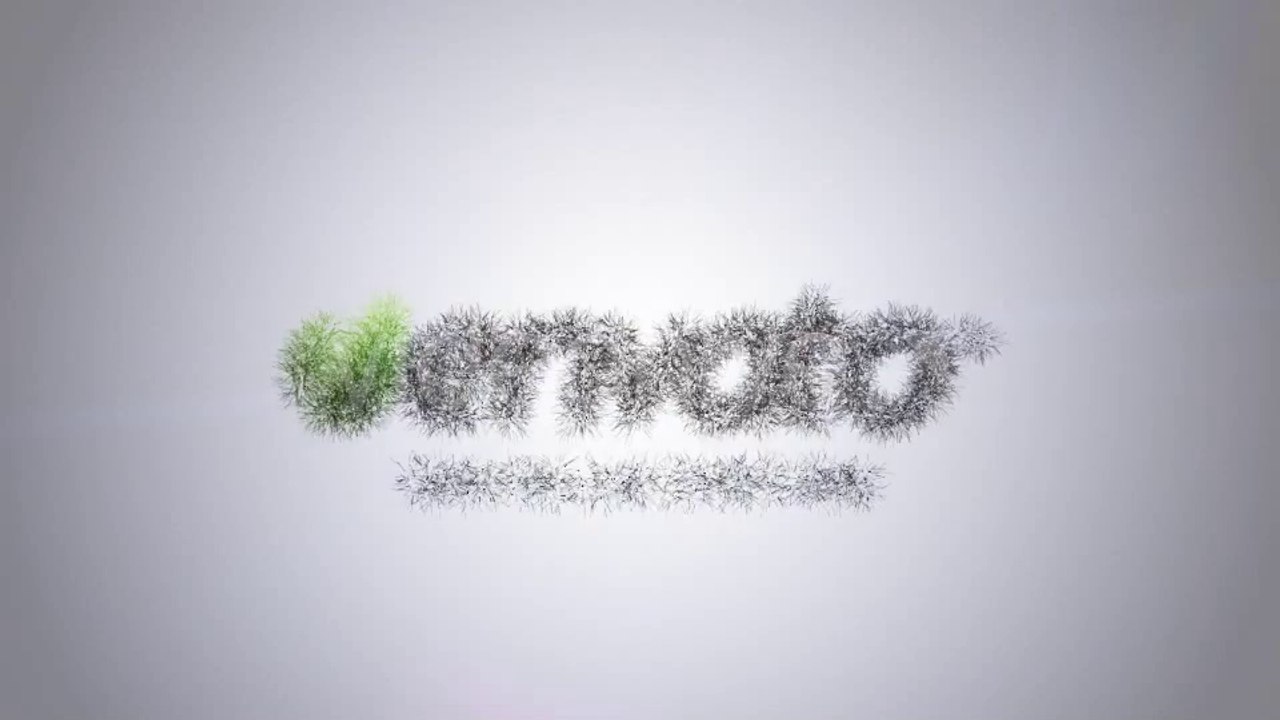 Flying Through Words Logo Reveal - After Effects Template