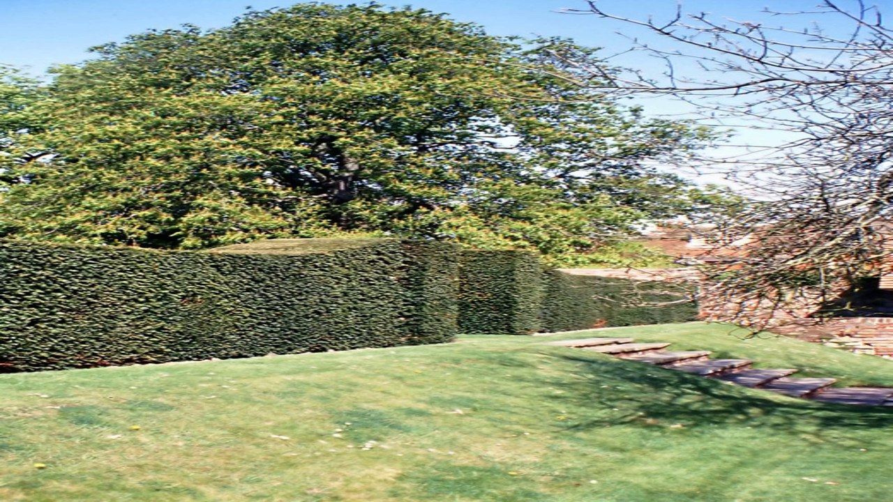 Jenkyn Place Gardens Alton Hampshire