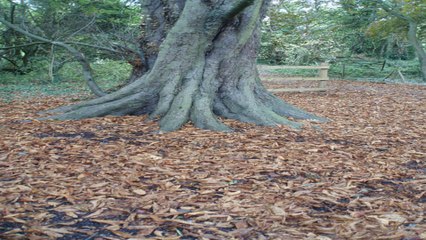 Denham country park Gerrards Cross Buckinghamshire