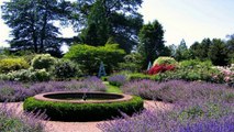 Borde Hill gardens Haywards Heath West Sussex