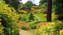Leonardslee gardens Horsham West Sussex