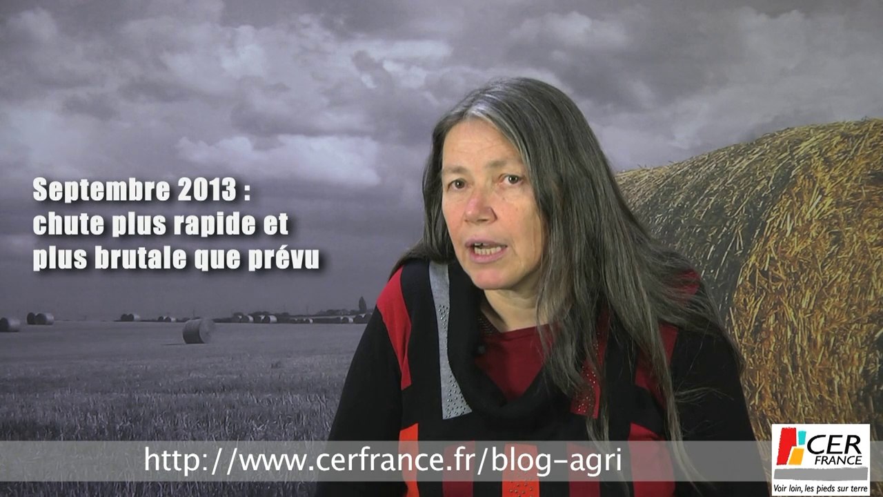 Production porcine : Les producteurs oscillent entre optimisme et pessimisme depuis le début 2013 par Anne-Yvonne Hénot
