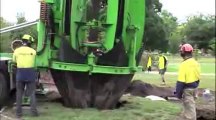 Clyde Road Upgrade - Tree relocation