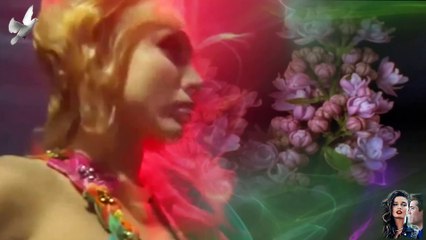 Beautiful Violine - Zoran Dzorlev