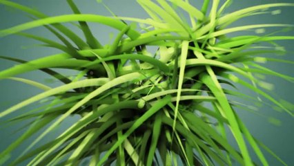 Particle Logo Reveal - After Effects Template