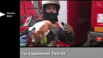 Les sapeurs-pompiers de Paris sortent un zapping de leurs interventions (extrait)