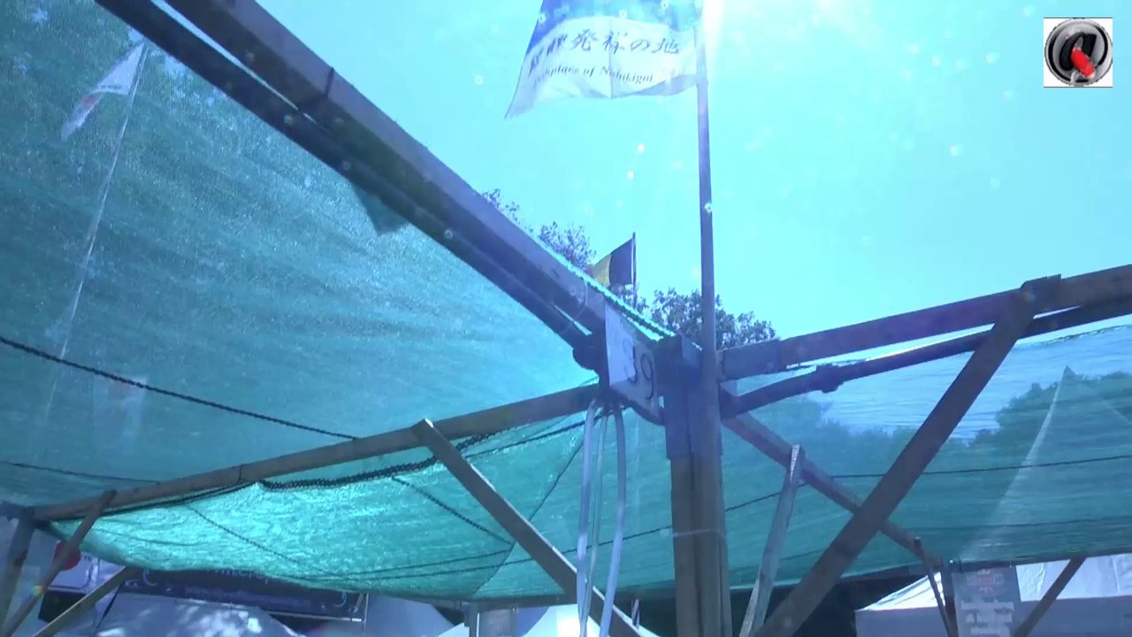 Holland koi show 2013 vats 31 to 40