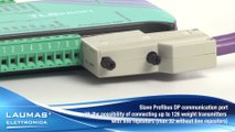 TLBPROFI  - Digital weight transmitters PROFIBUS DP - RS485 ModBus RTU - LAUMAS
