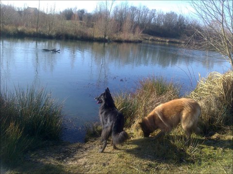 2014 fevrier Didou Follow etangs