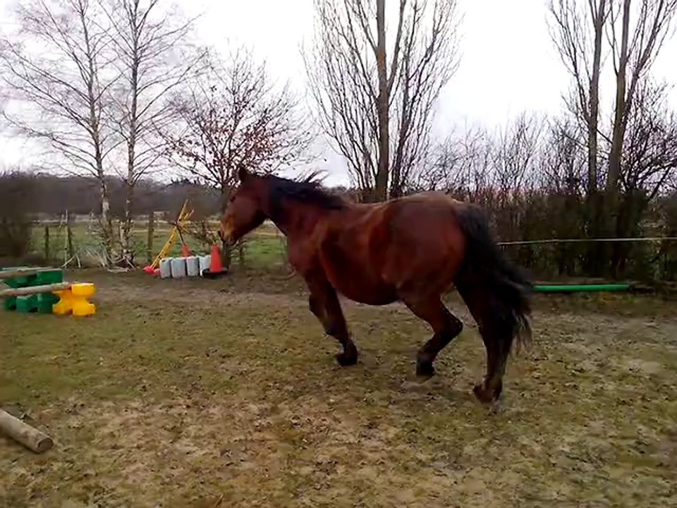 17.02.2014.e.tenebra