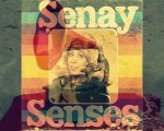 Şenay Şenses - birazda bana gül kader - kolaj Serbülent Öztürk