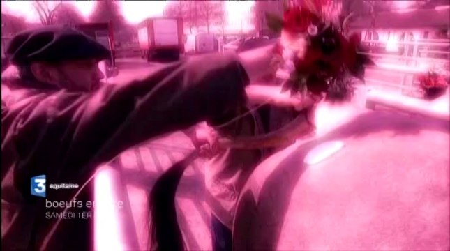 Teaser Boeufs en fête