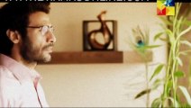 Hum Tehray Gunnahgar Episode 21 By HUM TV - 17th February 2014