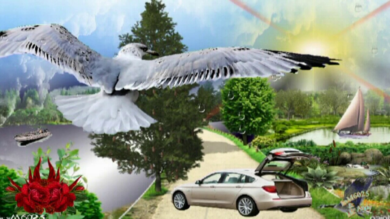 Tommy Fischer - Wenn es einen Himmel gibt (Dance Version) ... avi