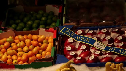 Stand Animation Mora Frères HD