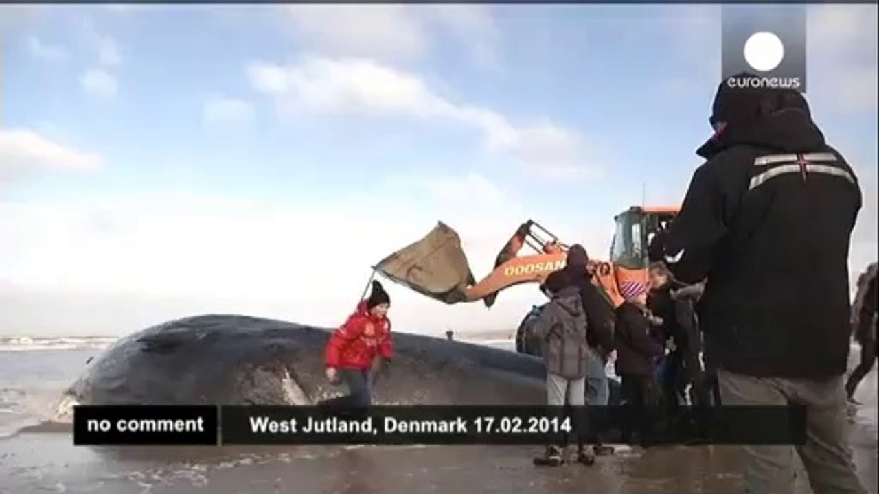 Danemark