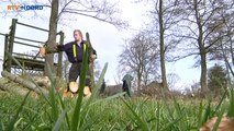 Grootegast trekt beurs voor houtsingels - RTV Noord