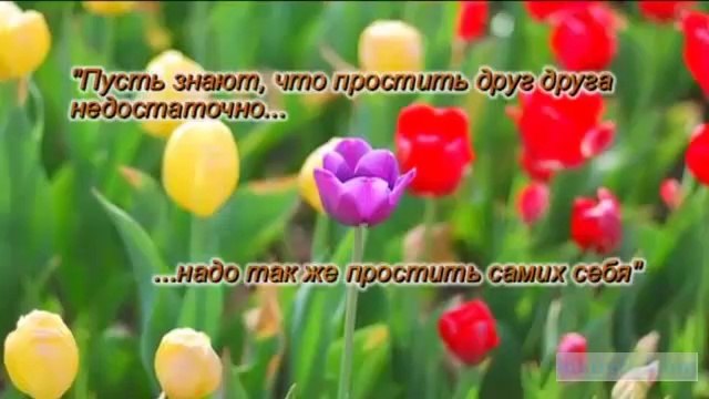 Интервью у Бога