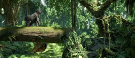 TARZAN - Extrait 