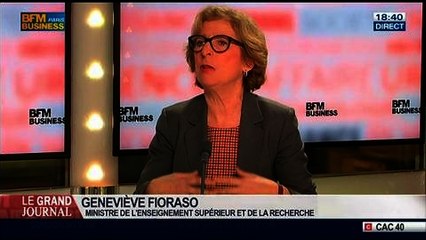 Geneviève Fioraso, ministre de l'Enseignement supérieur et de la Recherche, dans Le Grand Journal – 17/02 3/4