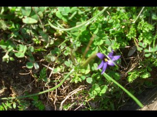 allahdiyen köyü parkuru-16.02.2014