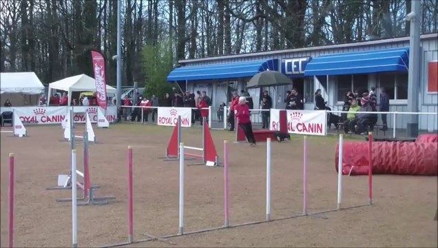 Maud & Vodka Concours de Cholet 2014-02-16