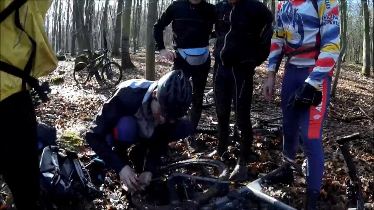 VTT Gr1 et 2 - Forêt verte
