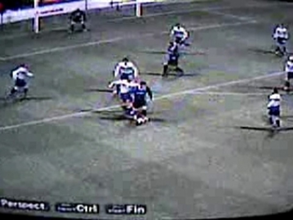 Ibrahimovic talonade