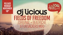 DJ Licious - Fields of Freedom (Original Mix) - YouTube