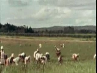 Judy Mowatt - Black Woman (1978)