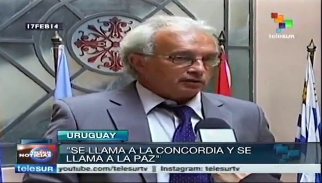 Respeto a las instituciones democráticas de Venezuela: Parlasur