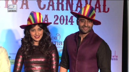 Youngistaan Movie To Be Part Of Goa Carnival 2014