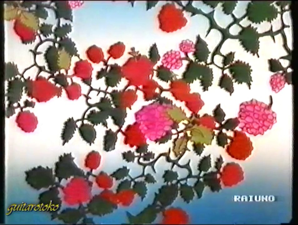 chi l'ha visto?
