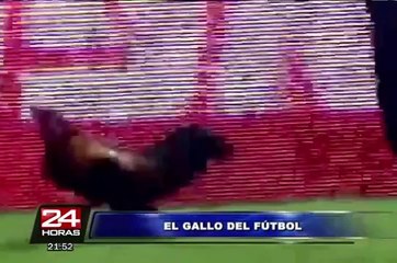 Bloque Deportivo: ¿Ricardo Gareca estuvo en Lima para negociar por la selección? (4/4)