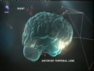 Cerebro analitico vs. creativo (RMf): Mark Beeman