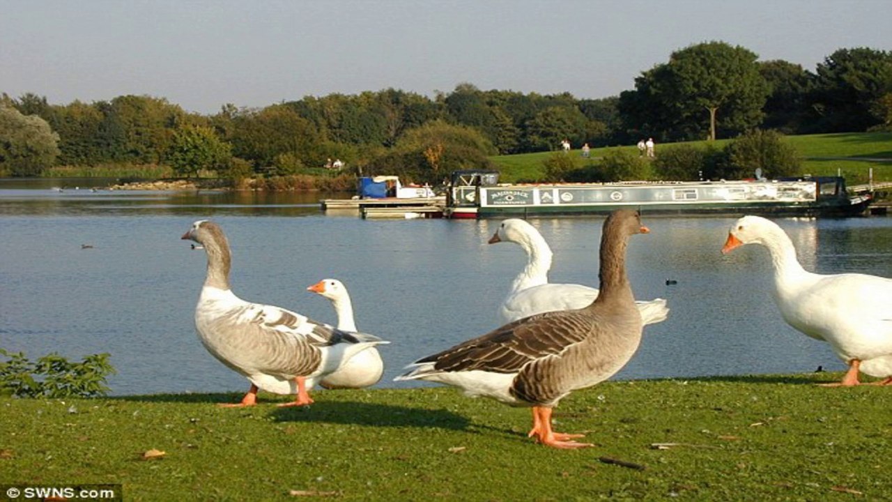 ferry meadows country park Peterborough Cambridgeshire