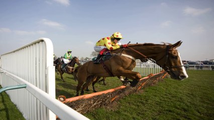 Towcester Racecourse Milton Keynes Buckinghamshire