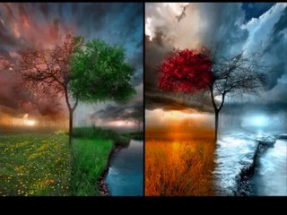 Sevda Gül Resmi Web Sitesi