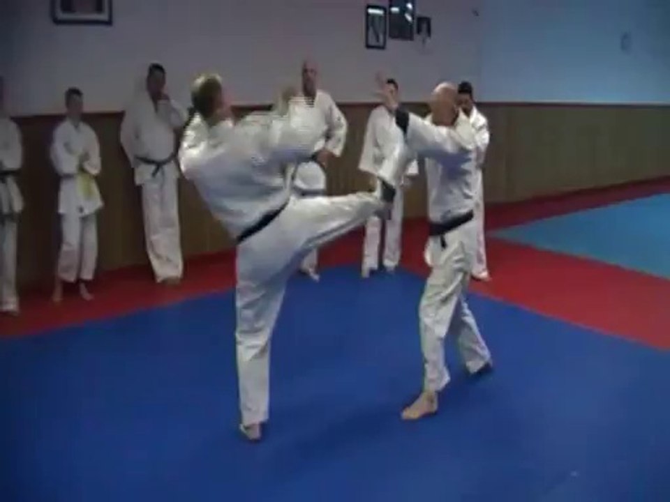 Jujitsu Rollin Philippe