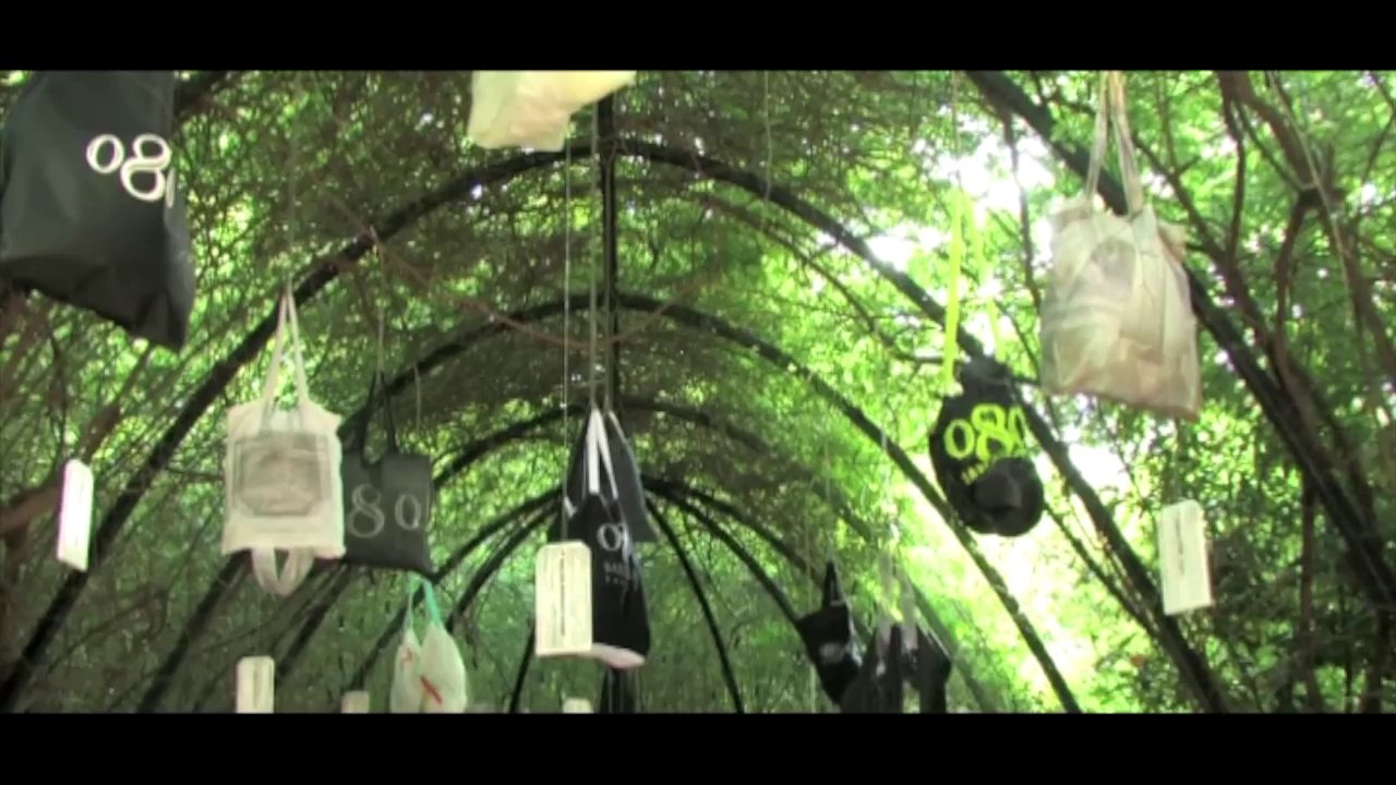 Vídeo edicions 080