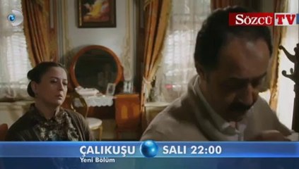 Çalı kuşu 19.Bölüm fragmanı