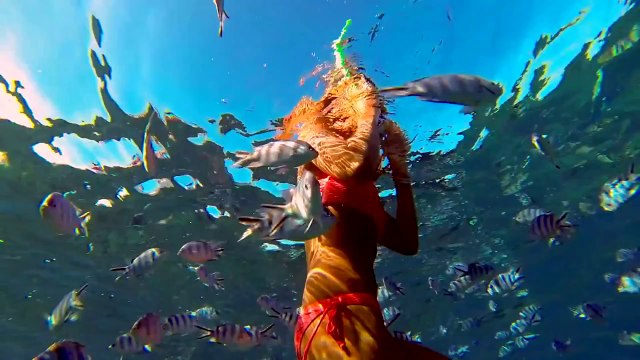 Luxushotel Strandhotel Traumurlaub Swimming with dolphins - Le Morne peninsula, Mauritius