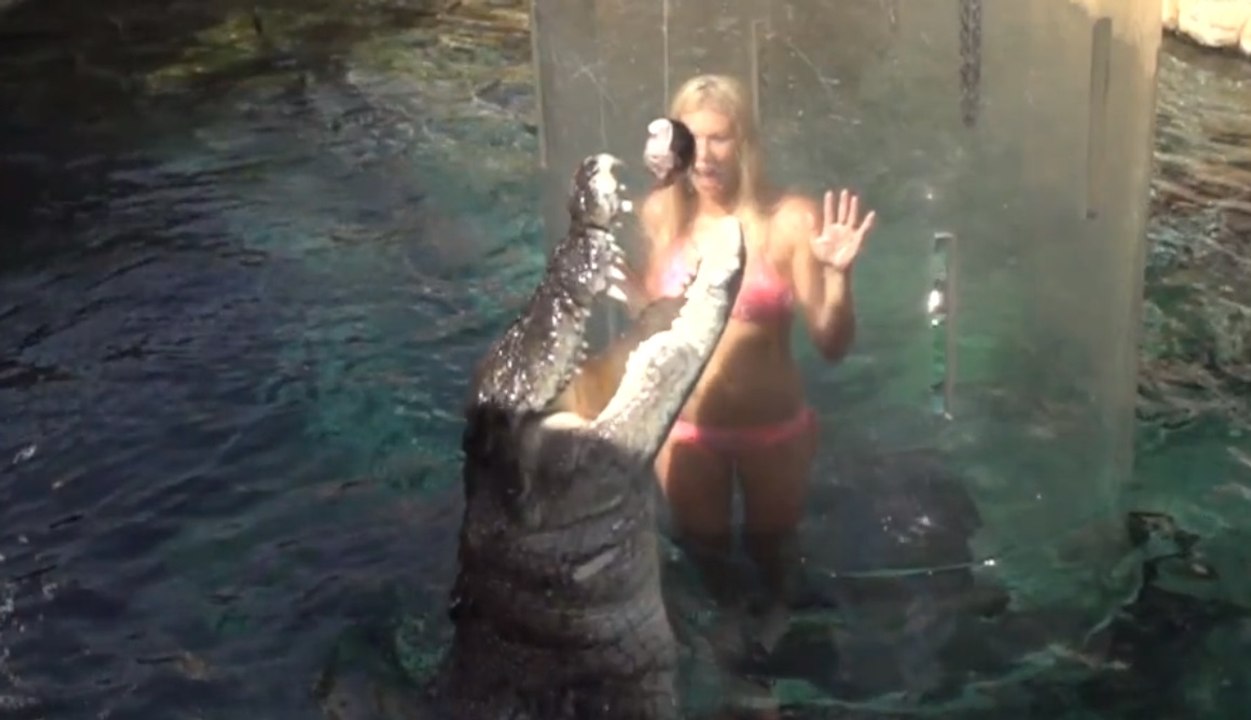 Crocodile Fishing in Spectacular Slow-Motion