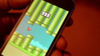 Flappy Bird - Plus gros score : 999.