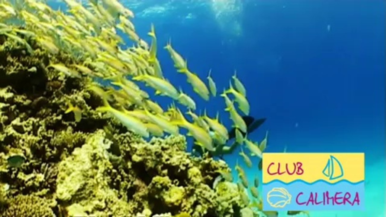 Tauchen in deinem CLUB CALIMERA Clubhotels Reisebüro Fella