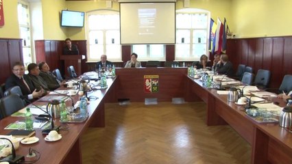 Sesja Rady Miejskiej w Bogatyni 13.02.2014r. cz. 5