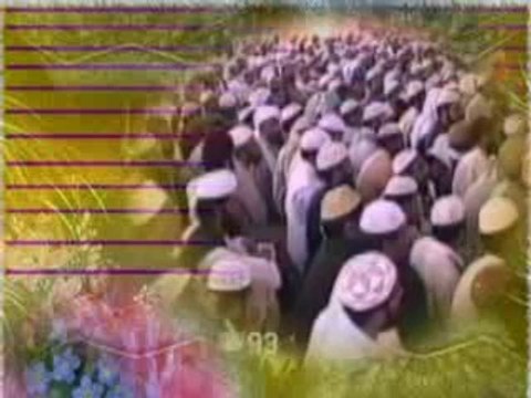 Message of Shaykh ul Islam Dr. Muhammad Tahir-ul-Qadri for Muslim Ummah