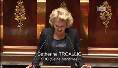 Catherine Troallic - Artisanat, commerce et très petites entreprises 2