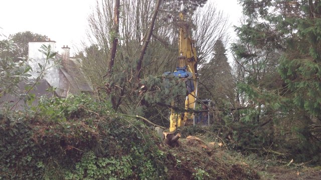 Agents Erdf et élagueurs au travail