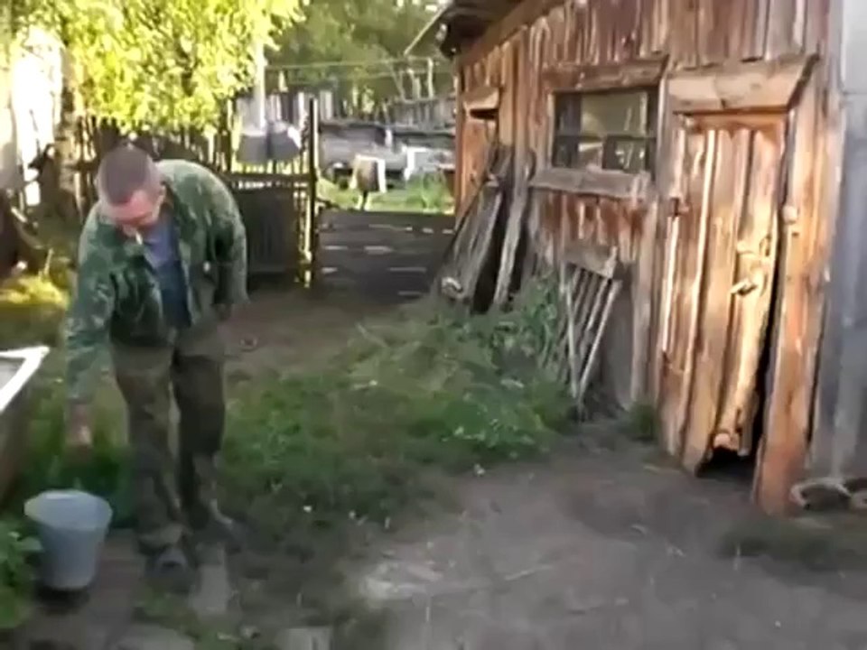 Hund macht die Tür hinter sich zu